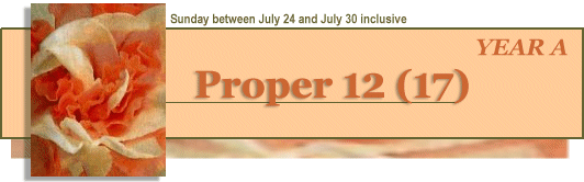 Proper 12 (17)